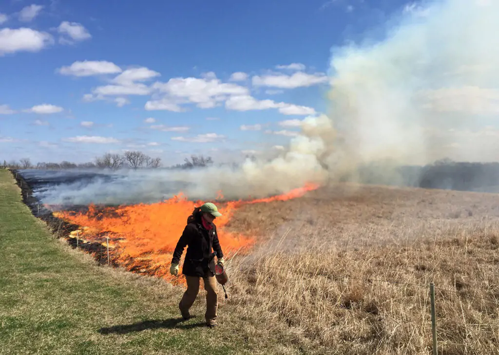 Statewide-Burn-Ban-Issued-in-Louisiana